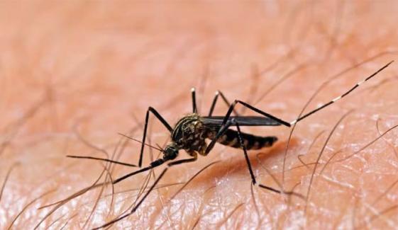 West Nile Virus: 2 more cases confirmed in Massachusetts
