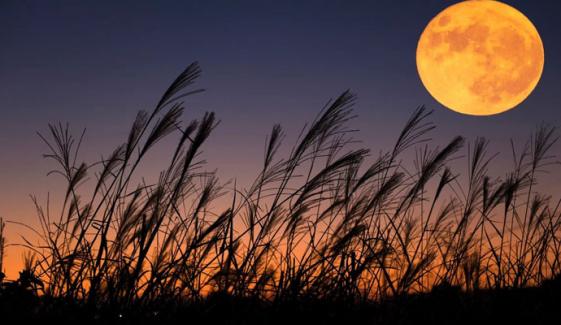 Harvest Moon 2025: Why moon appears bigger tonight?