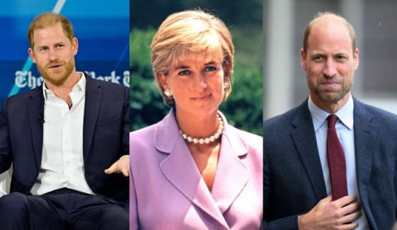 Prince William, Harry’s rift reignites ahead of Princess Diana’s 30th death anniversary