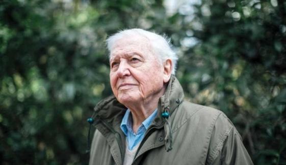 Sir David Attenborough makes history as oldest Daytime Emmy winner at 99