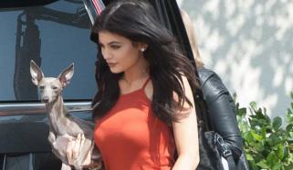 Kylie Jenner mourns heartbreaking loss of her beloved dog 'Norman'