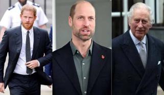 King Charles, Prince William find common ground with Harry after reunion