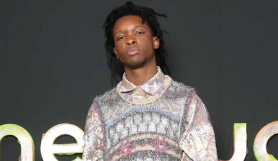 D4vd case takes dramatic turn as private investigator fires back at major outlets