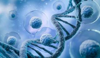 Nearly 17 million Americans carry cancer genes, study