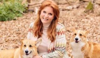 Buckingham Palace gives huge relief to Sarah Ferguson after massive blows