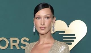 Bella Hadid receives touching post-birthday bash on Halloween after illness 