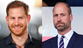 Prince Harry announces pre-planned Canada trip last minute amid William's Brazil tour