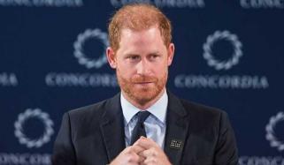 Prince Harry pens sombre letter for Remembrance Day: 10 takeaways from 647-word piece