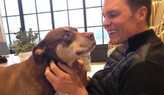 Tom Brady turns to cloning to bring back his late dog Lua as Pup Junie