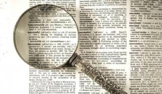 Collins Word of the Year 2025 revealed: Everything you need to know