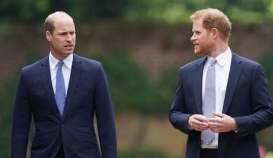 Prince Harry accused of jealousy toward William amid royal rift
