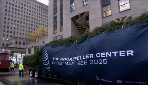 Rockefeller Center Christmas tree arrives in Manhattan for 2025 holiday season