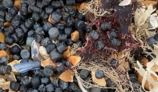 Camber Sands Beach contaminated by plastic in severe 'environmental catastrophe'