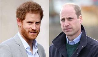 Prince William prepares strong response after Prince Harry’s ‘struggle’ claim