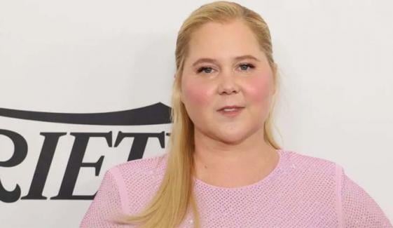 Amy Schumer deletes her Instagram posts and starts fresh with new look