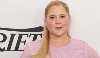 Amy Schumer deletes her Instagram posts and starts fresh with new look