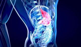 AI to boost Liver donations by emphasising best potential donors