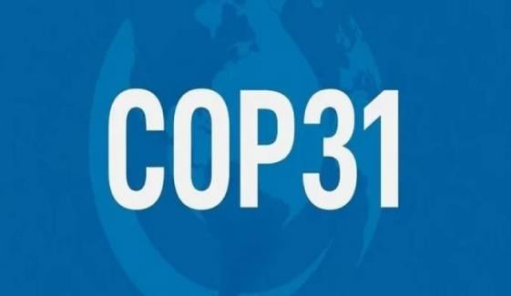 COP31 host country confirmed amid controversial bid negotiations 