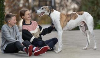 Fernando Bale, Australian retired racing greyhound dies at 12