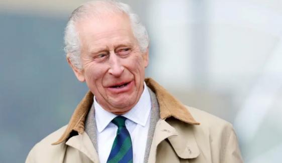 Buckingham Palace reveals King Charles’ take on his most unusual portrait