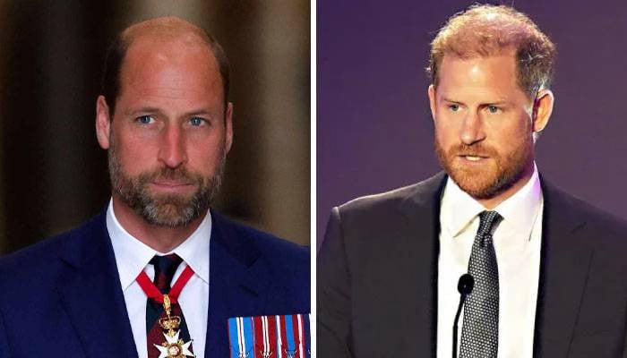 Prince William reflects on big ‘opportunity’ amid Prince Harry reunion rumours