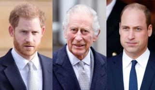 Prince Harry leaves US after Prince William dops rare update on King Charles