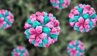 Norovirus alert: Experts warn of rising cases of winter vomiting disease 