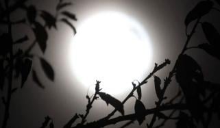 Supermoon 2025 to occur tonight: Check global timings