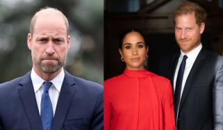 Prince William convinced ‘Sussex brand’ will 'diminish' before his reign