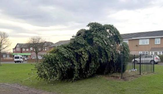 Shotton Colliery Christmas tree vandalism: Two men arrested over damage