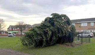 Shotton Colliery Christmas tree vandalism: Two men arrested over damage