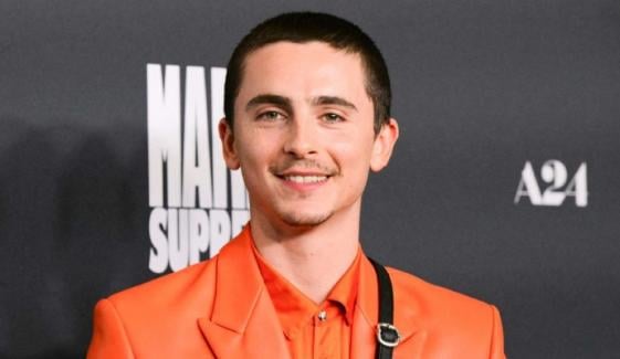 Timothée Chalamet reflects on his 'long-term' effort for 'Marty Supreme' 