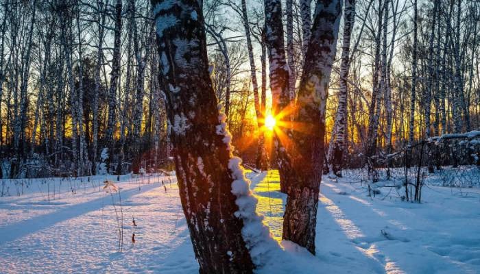 When is winter solstice 2025? Here's everything you need to know