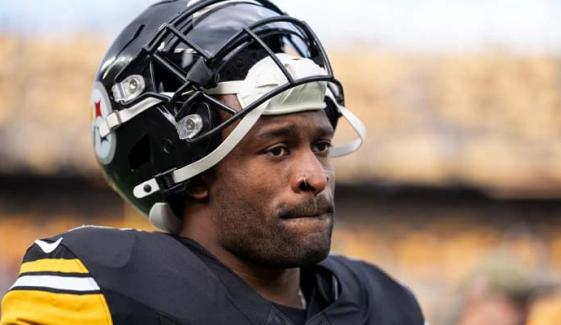 Steelers star DK Metcalf in trouble after punching Lions’ fan: ‘Hefty fine’ 