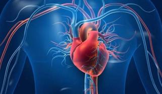 Severe valvular heart disease raises death risk in cancer patients