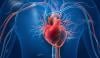 Severe valvular heart disease raises death risk in cancer patients