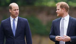 Prince Harry set to strive for prominent Royal role in 2026 despite William's rift