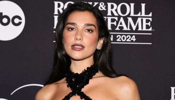 Dua Lipa drops 'very well documented' 2025 highlights ahead of new year