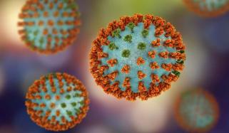 New aggressive H3N2 flu strain rapidly spread across US 