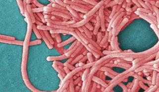 Legionnaires’ alert in Sydney after fourth case confirmed