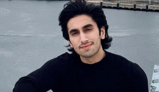 Hamza Sohail teases new project with heartfelt New Year's message 