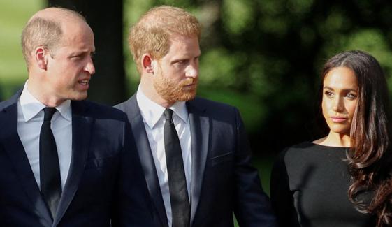 Prince William strongly reacts to Harry, Meghan's shameless plan for mom Diana