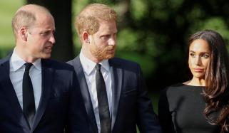 Prince William strongly reacts to Harry, Meghan's shameless plan for mom Diana