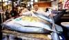 Bluefin tuna sells for record $3.2 million at Tokyo's first auction of 2026 