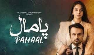 'Pamal' finale wins hearts as fans laud women empowerment