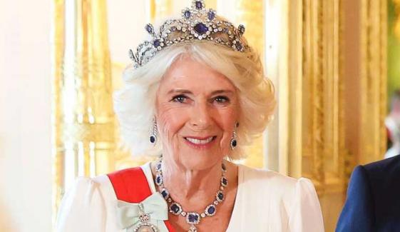Buckingham Palace issues Queen Camilla's statement to support 'urgent' cause