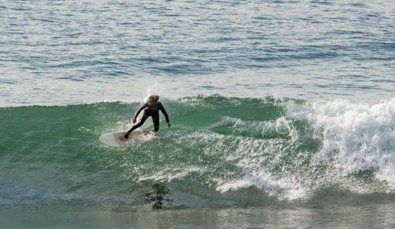 New South Wales beach in Australia hit by fourth shark attack in 48 hours