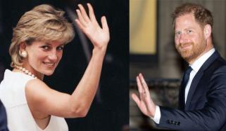 Princess Diana’s protection officer makes big claim as Harry awaits RAVEC report