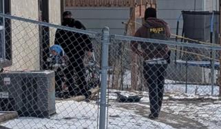 ICE detains five-year-old Minnesota boy amid immigration raids