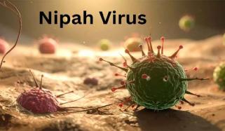 Nipah Virus identified in West Bengal after five cases confirmed